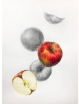 Pin page images에 있는 ˢᵏᵉᵗᶜʰᵇᵒᵒᵏ님의 핀 | 그림, 초상화 그리기, 수채화 삽화