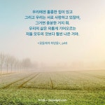 #명언 #명언모음 #인생명언 #긍정명언 #짧은명언 #오늘의명언 #아침명언... 힘들때명언 #성공명언 #힘나는명언 #꽃들에게희망을 #책속문장