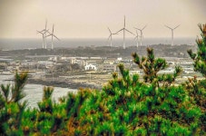 #음악하는사진사 #제주 #출사 #신창해안도로 #풍차 #풍력발전소 #사진 #풍경 #배경 #바다 #소나무 #푸른 #여행 #감성... 