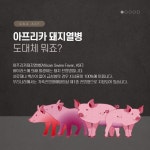 카드뉴스에 있는 H20 H20님의 핀 - 2021