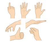 손 모양 일러스트 hbkidz, 일러스트, 손, 손모양, 일러스트, 일러스트레이션, 손그림, hand, 손바닥, 엄지, 손가락, 손등, 아이콘, 그림... 