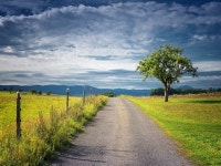 길 보다 풍경 - Pixabay의 무료 사진