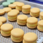 [New] The 10 Best Dessert Ideas Today (with Pictures) -  노랑노랑 바닐라 마카롱글이 왜 안 올라가는지 모르겠어요 ㅠㅠ #디저트... 