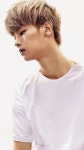 —☆;; vixx에 관한 285개의 최상의 Pinterest 이미지 | 사자자리, Vixx 및 여신 —☆;; vixx