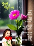 모든 날이 행복하기를
