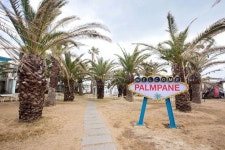 Cafe _ Palmpane | 인테리어