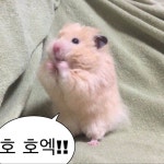 당황