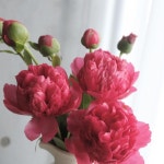 주문 kakao - @jeeah_mood  Tel - 070 7724 0722 . #jeeah_mood #지아무드 #florist #플로리스트 #플라워디자인 #플라워레슨 #플라워클래스…