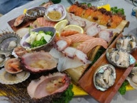 1에 있는 김도연님의 핀