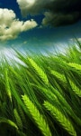 Pin by 미경 김 on Decoración | Beautiful nature wallpaper, Green nature wallpaper, Beautiful nature pictures