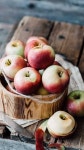 Diabetes diet: 10 fruits with low-glycemic index to manage blood sugar levels diabeties snacks에 있는 핀