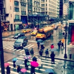 Umbrella traffic on the way to class. Photo credit: @laurenalexisnyc | 사진, 꽃 사진