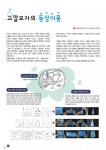 한미유치원 신문 4호