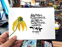 Pin page 캘리에 있는 핀 - 2024 | 중학교 미술, 손글씨, 칼리그래피 아트