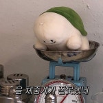 베베 | 베베더오리(@bebe_the_ori) • Instagram 사진 및 동영상