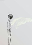 Ciel Phamtomhive에 있는 핀
