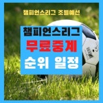 손흥민 이강인 해외축구 무료중계 라리가 프리미어리그 챔피언스리그 유로파에 있는 핀