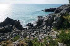 Haeun-dae, Busan, Korea 동백섬 산책로에서 바라본 해운대 아침 바다 | 바다