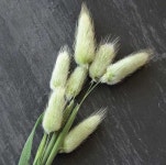 Pin on 짚 풀공예