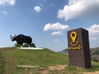 วังน้ำเขียว 8-11/3/65에 있는 Duangta님의 핀