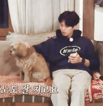 박보검 < 효리네 민박2 > 2회 180211 [ 출처 : printemps616 https://twitter.com/printemps616/status/962705122940796928 ]