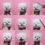 🌿포메라니안 ᴘᴏᴍᴇʀᴀɴɪᴀɴ 비니 🐻 on Instagram: “. 울 비니두 머리빨이구나😝💗 비니야 세상에서 젤 사랑해... 