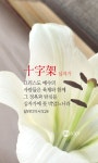 그리스도 예수의 사람들은 육체와 함께 그 정욕과 탐심을 십자가에 못 박았느니라 - 갈라디아서 5:24 - 한몸암송카드 | 성경 인용구, 성경 구절, 성경