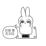 짤에 있는 이예지님의 핀 | 웃긴 밈, 웃긴, 웃긴 바탕화면