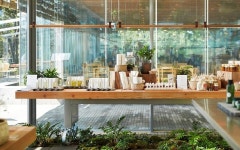 Amorepacific Creatives - 이니스프리 제주하우스 증축동 (Innisfree Jeju House) | 카페 디자인, 오래된 나무, 카페 인테리어 디자인