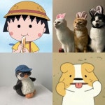 내 인스타 부계를 더 깜찍하게 꾸미는 방법‼️ 뭔가 모르게 댕청한 💙인스타 귀여운 비계 프사 모음💙 ✨다운로드는 요기서... 