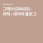 그래쓰(GRASS) - 와락 : 네이버 블로그 - 2020 | 블로그, 음악, 여행