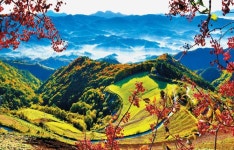 [강릉~평창~정선 올림픽 아리바우길 서면… 동계올림픽... 7㎞ 트레킹 길, 세 지역 이어 하나된 열정 상징선자령선 알펜시아... 