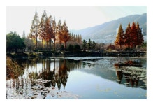 김해 연지공원의 반영.