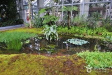 Yeomiji Botanical Garden (여미지 식물원) ... | Botanical gardens, Plants, Garden