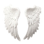 pair of paper wings | 영감, 예술, 천사