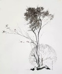 아름씩 잎을 서리 할  때마다 드러나는 허공에 그린 지도는 그리운 별길일까? 여름 내 새들이 꿈을 물고와 잠들던 조몽장鳥夢場 모텔... 