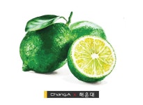 [013]-Object Description_(개체묘사)에 있는 김현호님의 핀 | 라임