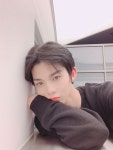 지녕이 왔습니다 - 2020