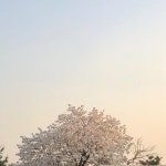 지금 이 순간 내 눈 앞 실화?? #맞팔 #선팔 #팔로우 #좋아요 #인친 #소통 #데일리 #일상 #오오티디 #맞팔해요 #선팔하면맞팔 #셀피 #셀카... 