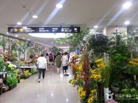 Express Bus Terminal Wholesale Flower Market (고속터미널 꽃도매상가) : VISITKOREA