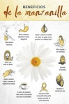 Hierbas에 관한 14개의 최상의 Pinterest 이미지 | 약초, 자연 의학 및 건강에 좋은 음식 Hierbas