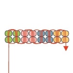 Pin by 다미 강 on 공예 in 2023 | Handmade jewelry diy, Diy bracelets patterns, Beaded jewelry diy