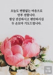 안부 전합니다. 안부 전합니다. | 좋은 아침 인사, 인생 좋은글, 아침 인사