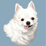 Little Dog Art | Pet Portraits | Vector Pets Illustrations | Dog Keepsakes | Detailed Pet Artwork | 팝아트, 강아지