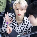 ♡ ┋엔하이픈