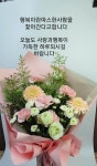 단풍 사진 | 그림문자, 저금통, 한국 꽃