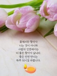 좋은 인연 만나는 하루