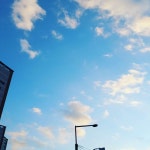 반쪽 하트 하늘 | 하늘, 꽃 디자인, 꽃