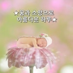 ★꿈과 소망으로 아름다운 하루★ 날마다 똑같은 하루 하루이지만 기분 좋은 날이 되기를 소망하면서 근심 걱정날들의 교차속에 마음은 희망과... 