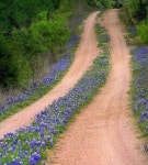 Country roads | 정원 가꾸기, 조경, 자연